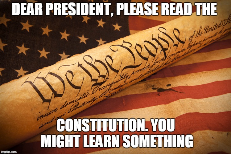 Read the Constitution | DEAR PRESIDENT, PLEASE READ THE; CONSTITUTION. YOU MIGHT LEARN SOMETHING | image tagged in constitution,president | made w/ Imgflip meme maker