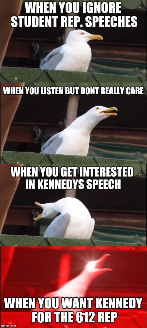 Inhaling Seagull Meme | WHEN YOU IGNORE STUDENT REP. SPEECHES; WHEN YOU LISTEN BUT DONT REALLY CARE; WHEN YOU GET INTERESTED IN KENNEDYS SPEECH; WHEN YOU WANT KENNEDY FOR THE 612 REP | image tagged in memes,inhaling seagull | made w/ Imgflip meme maker