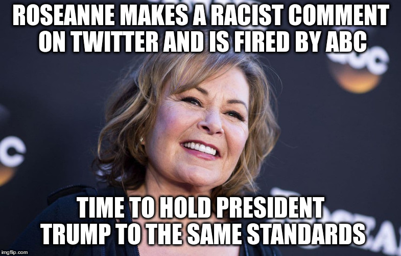 Vote against racism at the ballot box | ROSEANNE MAKES A RACIST COMMENT ON TWITTER AND IS FIRED BY ABC; TIME TO HOLD PRESIDENT TRUMP TO THE SAME STANDARDS | image tagged in trump,roseanne,abc,racism,voting | made w/ Imgflip meme maker