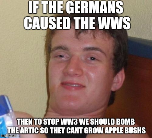 10 Guy Meme | IF THE GERMANS CAUSED THE WWS; THEN TO STOP WW3 WE SHOULD BOMB THE ARTIC SO THEY CANT GROW APPLE BUSHS | image tagged in memes,10 guy | made w/ Imgflip meme maker