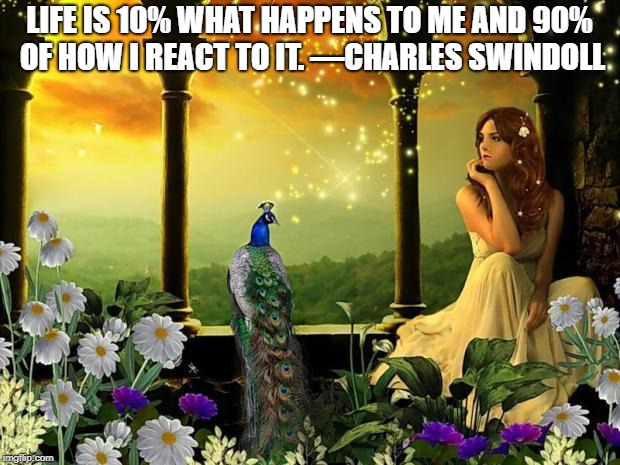 bird flowers beauty romance | LIFE IS 10% WHAT HAPPENS TO ME AND 90% OF HOW I REACT TO IT. —CHARLES SWINDOLL | image tagged in bird flowers beauty romance | made w/ Imgflip meme maker