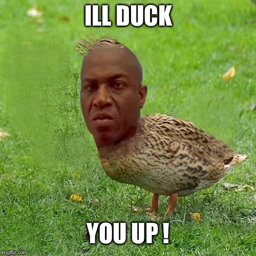 Whatchoo got on my 40 homey | ILL DUCK YOU UP ! | image tagged in deebo duck - coolbullshit,friday,ice cube,good duck day | made w/ Imgflip meme maker