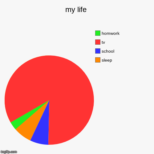 life... | my life | sleep, school, tv, homwork | image tagged in funny,pie charts | made w/ Imgflip chart maker