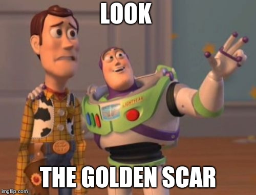 X, X Everywhere | LOOK; THE GOLDEN SCAR | image tagged in memes,x x everywhere | made w/ Imgflip meme maker