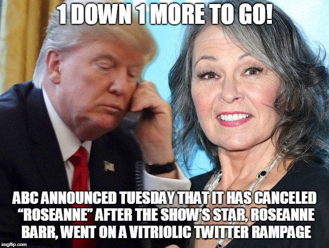 1 DOWN 1 MORE TO GO! ABC ANNOUNCED TUESDAY THAT IT HAS CANCELED “ROSEANNE” AFTER THE SHOW’S STAR, ROSEANNE BARR, WENT ON A VITRIOLIC TWITTER RAMPAGE | made w/ Imgflip meme maker