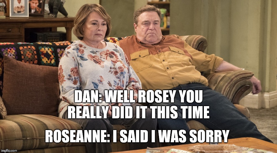 It was a freaking joke  | DAN: WELL ROSEY YOU REALLY DID IT THIS TIME; ROSEANNE: I SAID I WAS SORRY | image tagged in roseanne,planet of the apes,politics,donald trump,muslim | made w/ Imgflip meme maker