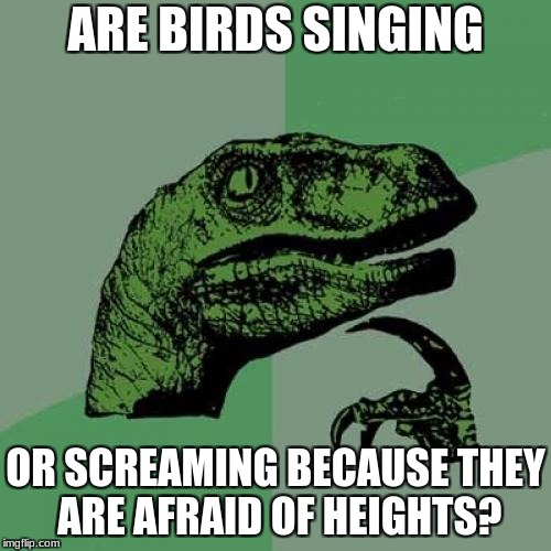 Philosoraptor | ARE BIRDS SINGING; OR SCREAMING BECAUSE THEY ARE AFRAID OF HEIGHTS? | image tagged in memes,philosoraptor | made w/ Imgflip meme maker