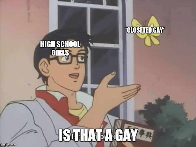Is ThAT a GaY | *CLOSETED GAY*; HIGH SCHOOL GIRLS; IS THAT A GAY | image tagged in meme,dank memes,so true memes | made w/ Imgflip meme maker