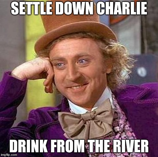 Creepy Condescending Wonka Meme | SETTLE DOWN CHARLIE; DRINK FROM THE RIVER | image tagged in memes,creepy condescending wonka | made w/ Imgflip meme maker
