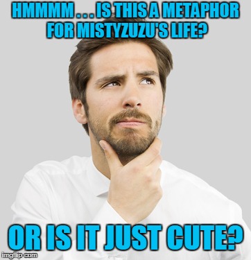 HMMMM . . . IS THIS A METAPHOR FOR MISTYZUZU'S LIFE? OR IS IT JUST CUTE? | made w/ Imgflip meme maker