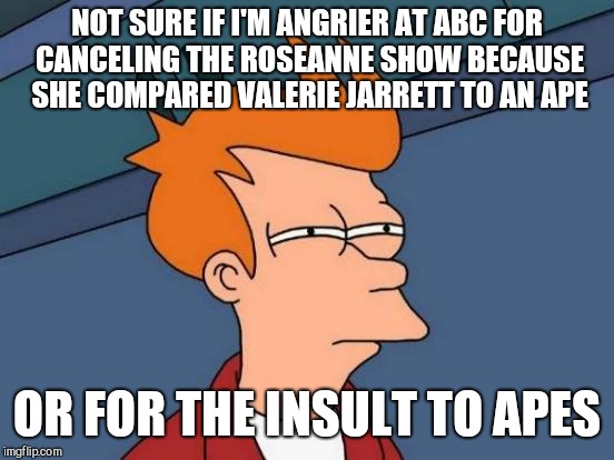 Futurama Fry Meme | NOT SURE IF I'M ANGRIER AT ABC FOR CANCELING THE ROSEANNE SHOW BECAUSE SHE COMPARED VALERIE JARRETT TO AN APE; OR FOR THE INSULT TO APES | image tagged in memes,futurama fry | made w/ Imgflip meme maker