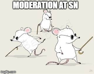 Blind mice | MODERATION AT SN | image tagged in blind mice | made w/ Imgflip meme maker