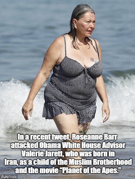 "Roseanne Barr: Stone-Cold Racist" | In a recent tweet, Roseanne Barr attacked Obama White House Advisor Valerie Jarett, who was born in Iran, as a child of the Muslim Brotherho | image tagged in roseanne,roseanne barr,racism,racist,trump let the dogs out | made w/ Imgflip meme maker