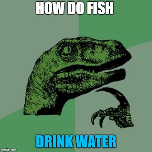 Philosoraptor Meme | HOW DO FISH; DRINK WATER | image tagged in memes,philosoraptor | made w/ Imgflip meme maker