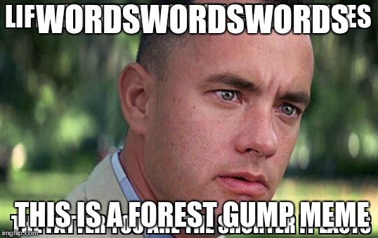 WORDSWORDSWORDS THIS IS A FOREST GUMP MEME | made w/ Imgflip meme maker