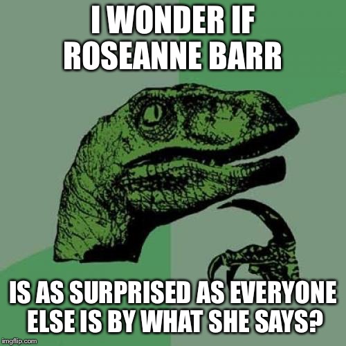 Philosoraptor Meme | I WONDER IF ROSEANNE BARR; IS AS SURPRISED AS EVERYONE ELSE IS BY WHAT SHE SAYS? | image tagged in memes,philosoraptor | made w/ Imgflip meme maker