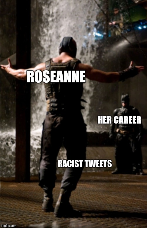 ROSEANNE; HER CAREER; RACIST TWEETS | image tagged in roseanne,twitter,batman,bane,memes | made w/ Imgflip meme maker