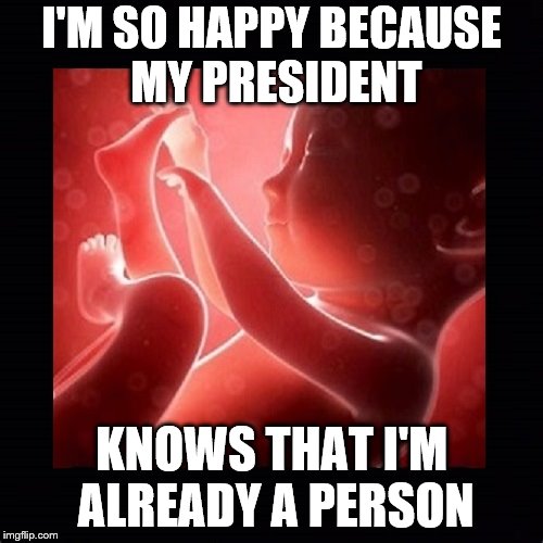 All Life Is Precious
 | I'M SO HAPPY BECAUSE MY PRESIDENT; KNOWS THAT I'M ALREADY A PERSON | image tagged in my president,fetus,pro-life | made w/ Imgflip meme maker