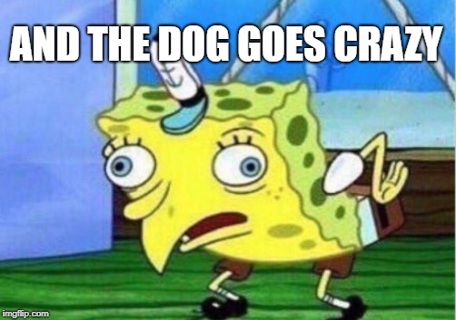 Mocking Spongebob Meme | AND THE DOG GOES CRAZY | image tagged in memes,mocking spongebob | made w/ Imgflip meme maker