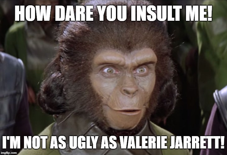 Not as ugly as Valerie #Roseanne | HOW DARE YOU INSULT ME! I'M NOT AS UGLY AS VALERIE JARRETT! | image tagged in planet of the apes,roseanne,funny memes,political meme,not racist | made w/ Imgflip meme maker