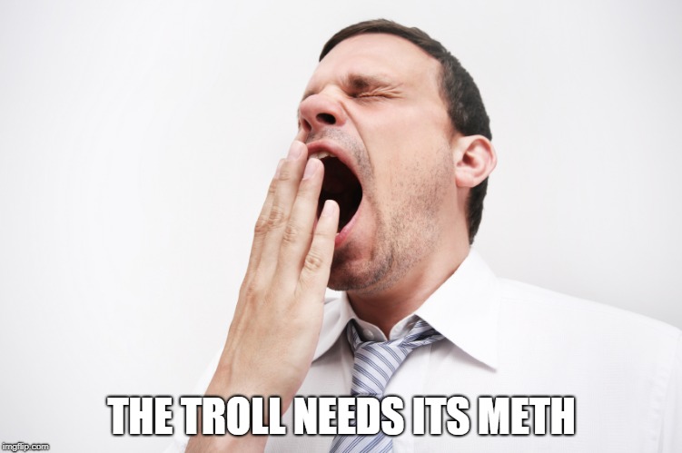 yawn | THE TROLL NEEDS ITS METH | image tagged in yawn | made w/ Imgflip meme maker