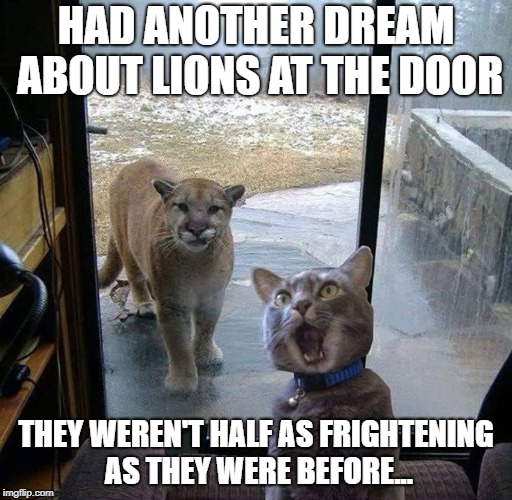 House Cat with Mountain Lion at the door | HAD ANOTHER DREAM ABOUT LIONS AT THE DOOR; THEY WEREN'T HALF AS FRIGHTENING AS THEY WERE BEFORE... | image tagged in house cat with mountain lion at the door | made w/ Imgflip meme maker