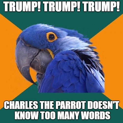 Paranoid Parrot | TRUMP! TRUMP! TRUMP! CHARLES THE PARROT DOESN'T KNOW TOO MANY WORDS | image tagged in memes,paranoid parrot | made w/ Imgflip meme maker