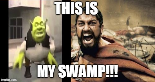Sparta Leonidas Meme | THIS IS; MY SWAMP!!! | image tagged in memes,sparta leonidas | made w/ Imgflip meme maker