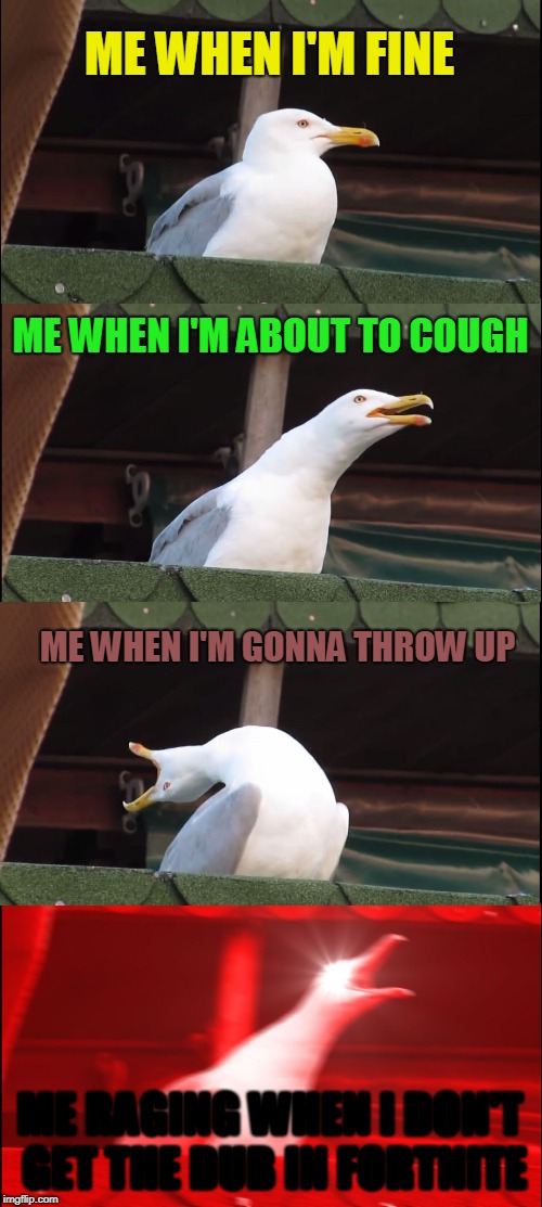 Inhaling Seagull Meme | ME WHEN I'M FINE; ME WHEN I'M ABOUT TO COUGH; ME WHEN I'M GONNA THROW UP; ME RAGING WHEN I DON'T GET THE DUB IN FORTNITE | image tagged in memes,inhaling seagull | made w/ Imgflip meme maker