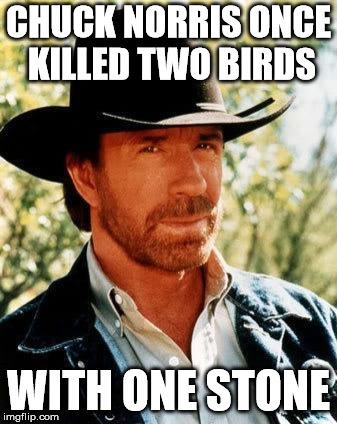 Chuck Norris | CHUCK NORRIS ONCE KILLED TWO BIRDS; WITH ONE STONE | image tagged in chuck norris | made w/ Imgflip meme maker