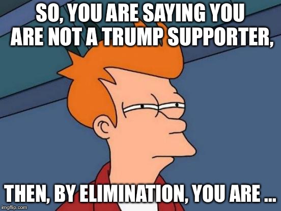 Futurama Fry Meme | SO, YOU ARE SAYING YOU ARE NOT A TRUMP SUPPORTER, THEN, BY ELIMINATION, YOU ARE ... | image tagged in memes,futurama fry | made w/ Imgflip meme maker