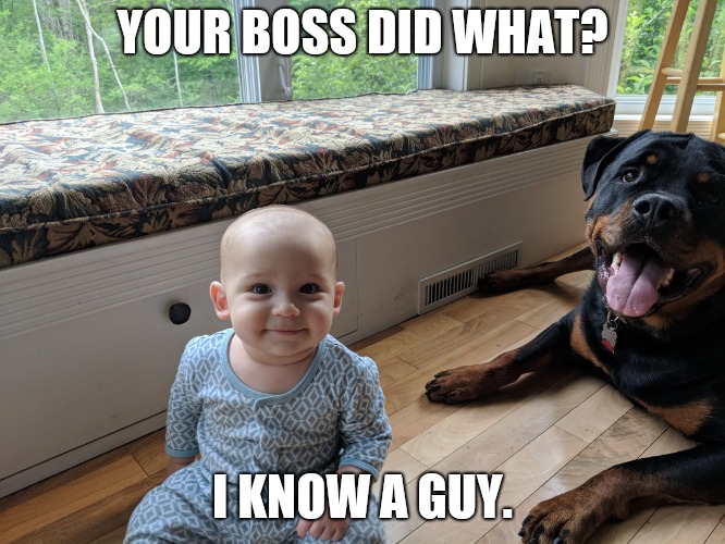 YOUR BOSS DID WHAT? I KNOW A GUY. | image tagged in baby with puppy | made w/ Imgflip meme maker
