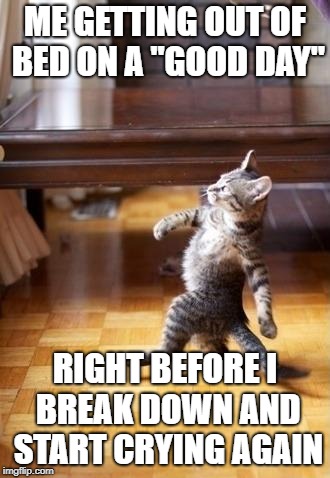 Cool Cat Stroll Meme | ME GETTING OUT OF BED ON A "GOOD DAY"; RIGHT BEFORE I BREAK DOWN AND START CRYING AGAIN | image tagged in memes,cool cat stroll | made w/ Imgflip meme maker