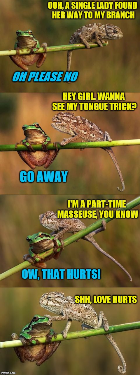 Love hurts, but not like this. ~ DashHopes template (Frog Week June 4-10, a JBmemegeek & giveuahint event!) | OOH, A SINGLE LADY FOUND HER WAY TO MY BRANCH; OH PLEASE NO; HEY GIRL. WANNA SEE MY TONGUE TRICK? GO AWAY; I'M A PART-TIME MASSEUSE, YOU KNOW; OW, THAT HURTS! SHH, LOVE HURTS | image tagged in memes,frog week,love hurts,jbmemegeek,giveuahint,dashhopes | made w/ Imgflip meme maker