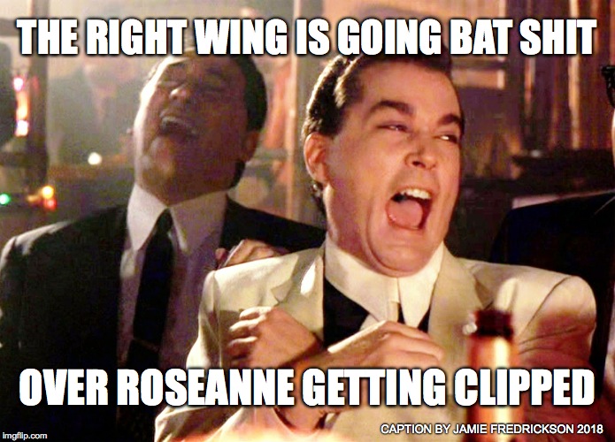 Good Fellas Hilarious Meme | THE RIGHT WING IS GOING BAT SHIT; OVER ROSEANNE GETTING CLIPPED; CAPTION BY JAMIE FREDRICKSON 2018 | image tagged in memes,good fellas hilarious | made w/ Imgflip meme maker