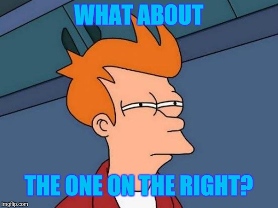 Futurama Fry Meme | WHAT ABOUT THE ONE ON THE RIGHT? | image tagged in memes,futurama fry | made w/ Imgflip meme maker