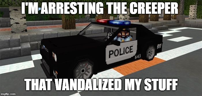 Minecraft Police | I'M ARRESTING THE CREEPER; THAT VANDALIZED MY STUFF | image tagged in minecraft police | made w/ Imgflip meme maker