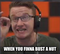 WHEN YOU FINNA BUST A NUT | image tagged in when you mini nut | made w/ Imgflip meme maker