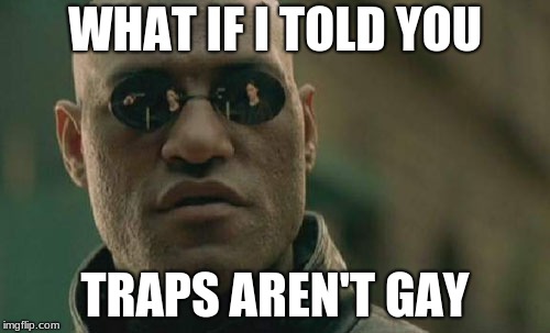 Trap Lover Morpheus | WHAT IF I TOLD YOU; TRAPS AREN'T GAY | image tagged in memes,matrix morpheus | made w/ Imgflip meme maker
