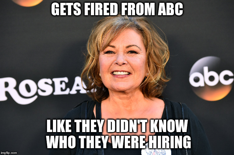 They have the nerve to be surprised? (not defending her) | GETS FIRED FROM ABC; LIKE THEY DIDN'T KNOW WHO THEY WERE HIRING | image tagged in rosanne barr | made w/ Imgflip meme maker