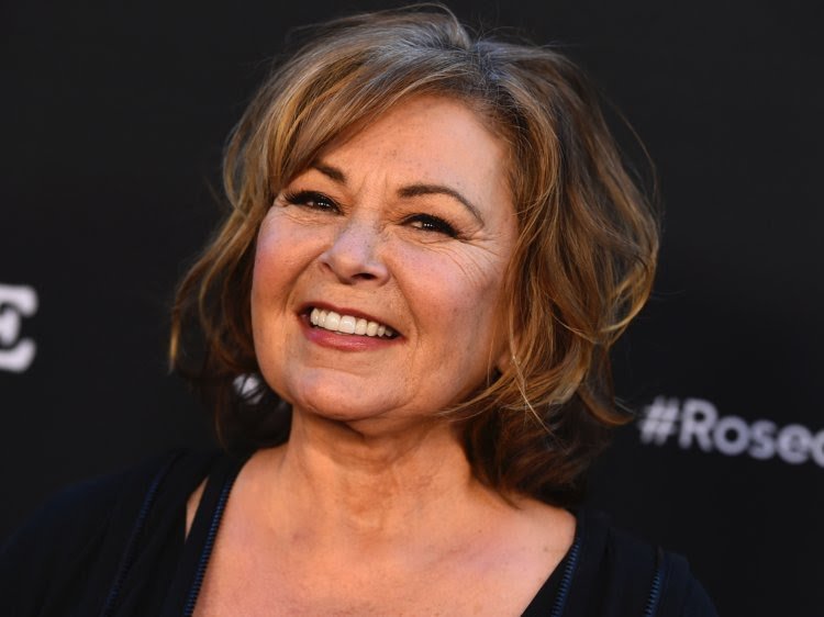 Roseanne Blank Meme Template