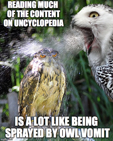 Owl Vomit | READING MUCH OF THE CONTENT ON UNCYCLOPEDIA; IS A LOT LIKE BEING SPRAYED BY OWL VOMIT | image tagged in owl,uncyclopedia,memes,vomit,funny | made w/ Imgflip meme maker