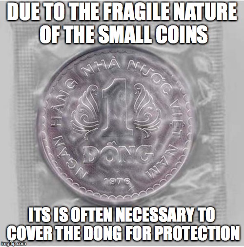 Dong Covering | DUE TO THE FRAGILE NATURE OF THE SMALL COINS; ITS IS OFTEN NECESSARY TO COVER THE DONG FOR PROTECTION | image tagged in dong,money,cover,memes,dick jokes | made w/ Imgflip meme maker