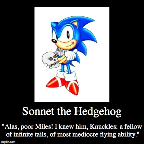 Sonnet the Hedgehog | image tagged in funny,demotivationals,sonic the hedgehog | made w/ Imgflip demotivational maker