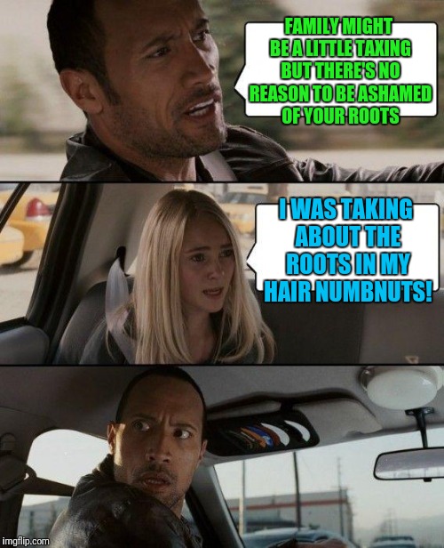 The Rock Driving Meme | FAMILY MIGHT BE A LITTLE TAXING BUT THERE'S NO REASON TO BE ASHAMED OF YOUR ROOTS; I WAS TAKING ABOUT THE ROOTS IN MY HAIR NUMBNUTS! | image tagged in memes,the rock driving | made w/ Imgflip meme maker