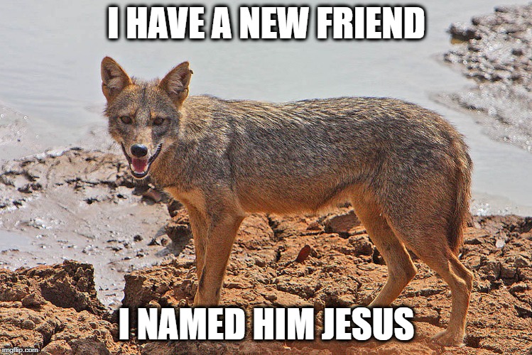 I HAVE A NEW FRIEND; I NAMED HIM JESUS | image tagged in jackal | made w/ Imgflip meme maker