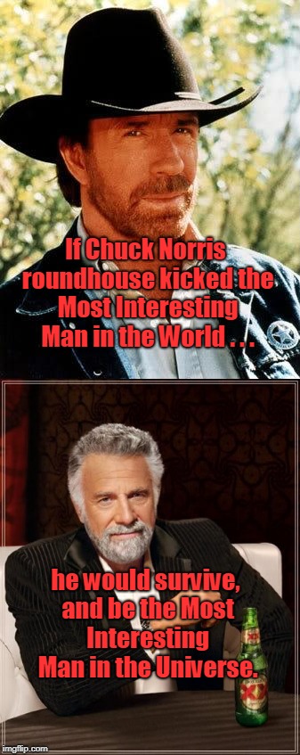 When an irresistible force meets an immovable object  | If Chuck Norris roundhouse kicked the Most Interesting Man in the World . . . he would survive, and be the Most Interesting Man in the Universe. | image tagged in chuck norris,the most interesting man in the world,memes | made w/ Imgflip meme maker