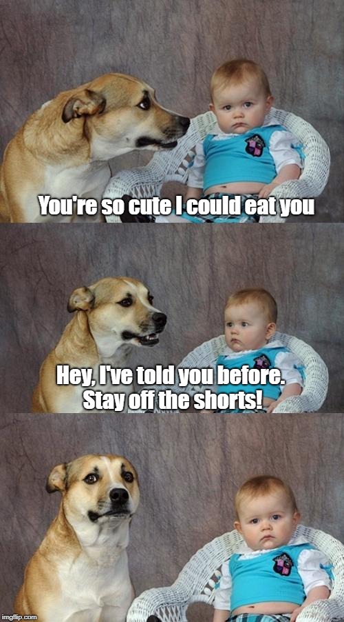 Dad Joke Dog Meme | You're so cute I could eat you; Hey, I've told you before. Stay off the shorts! | image tagged in memes,dad joke dog | made w/ Imgflip meme maker