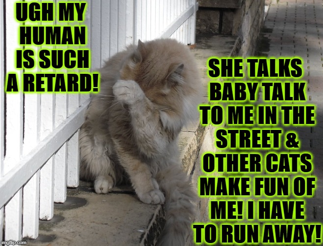 SHE TALKS BABY TALK TO ME IN THE STREET & OTHER CATS MAKE FUN OF ME! I HAVE TO RUN AWAY! UGH MY HUMAN IS SUCH A RETARD! | image tagged in human is a retard | made w/ Imgflip meme maker