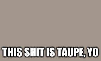 THIS SHIT IS TAUPE, YO | image tagged in taupe,dope,grey,funny,nerdy,colors | made w/ Imgflip meme maker